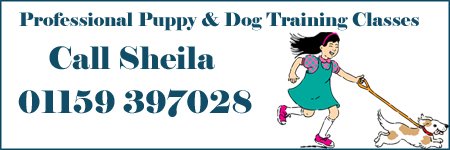 Puppy and Dog Training Classes - Puppy Training Classes